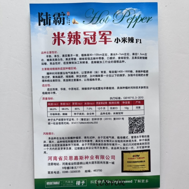 米辣品种白米椒朝天椒杂交一代口感香辣早熟品种
