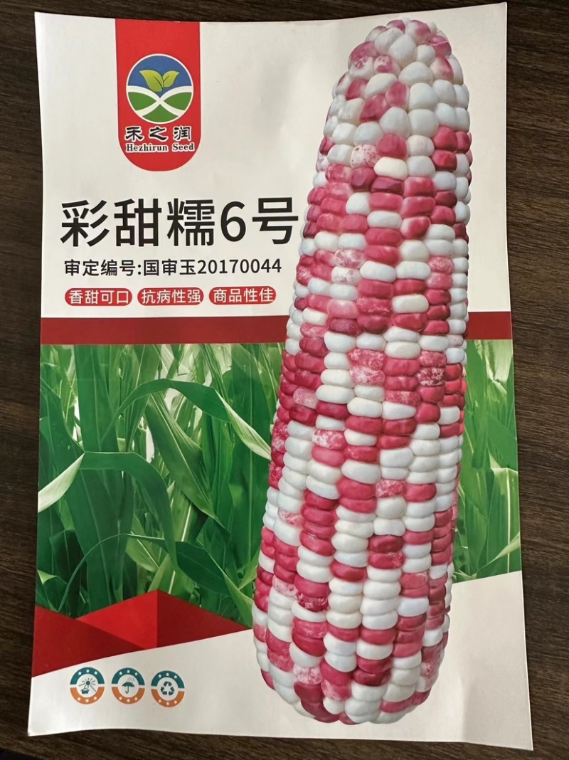 彩甜糯玉米种子，大田作物，南北通种，欢迎老板咨询