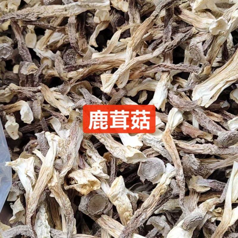 干鹿茸菇干净均匀适合所有人群食用1件10斤常年批发