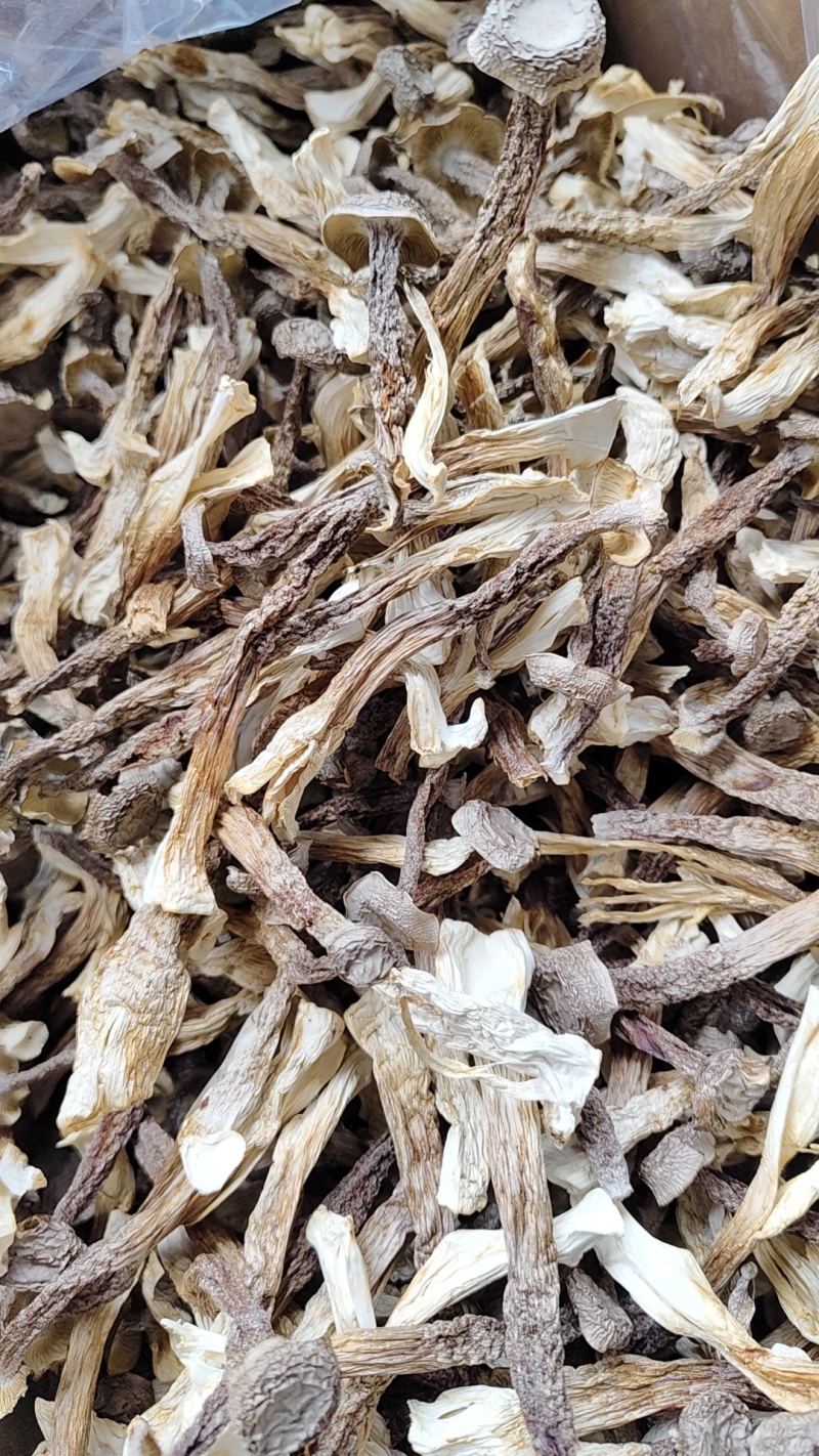 干鹿茸菇干净均匀适合所有人群食用1件10斤常年批发