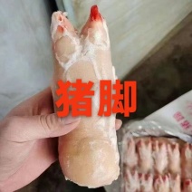 冻猪前蹄均匀干净适合所有人群食用1件20斤常年批发