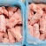 冻猪前蹄均匀干净适合所有人群食用1件20斤常年批发