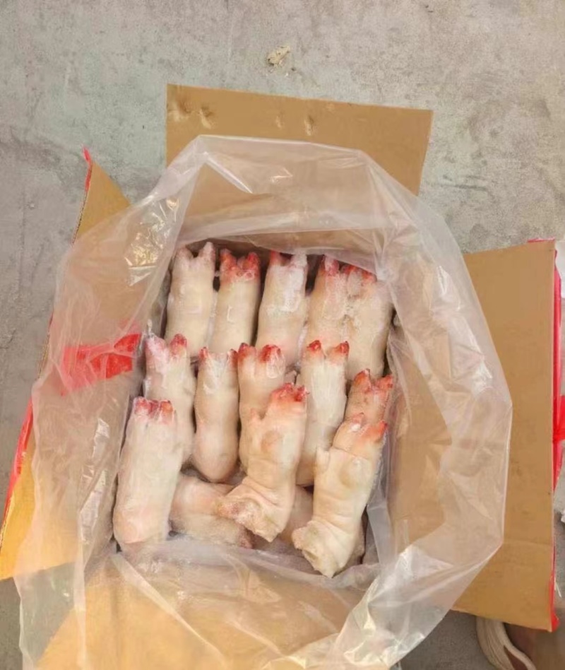 冻猪前蹄均匀干净适合所有人群食用1件20斤常年批发