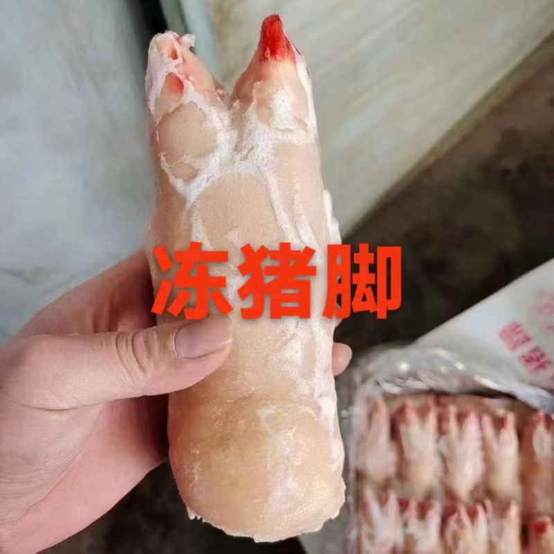 冻猪前蹄均匀干净适合所有人群食用1件20斤常年批发