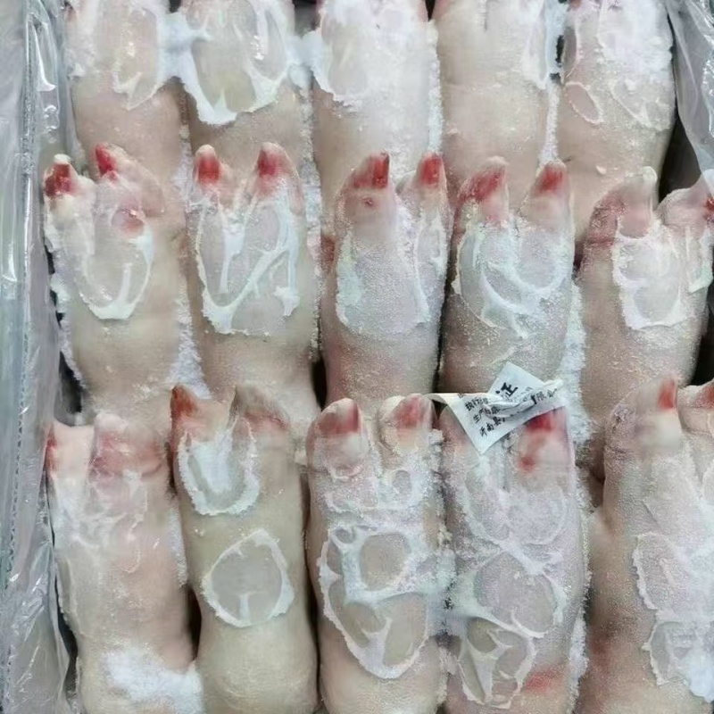 冻猪前蹄均匀干净适合所有人群食用1件20斤常年批发