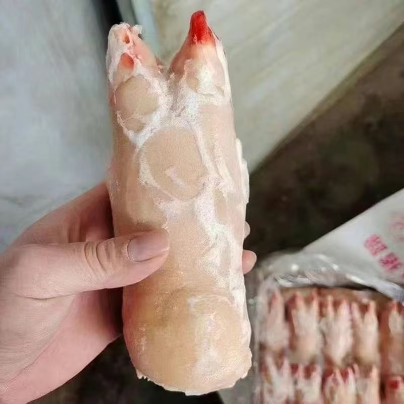 冻猪前蹄均匀干净适合所有人群食用1件20斤常年批发
