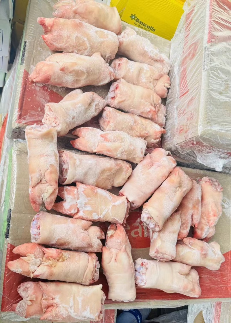 冻猪前蹄均匀干净适合所有人群食用1件20斤常年批发