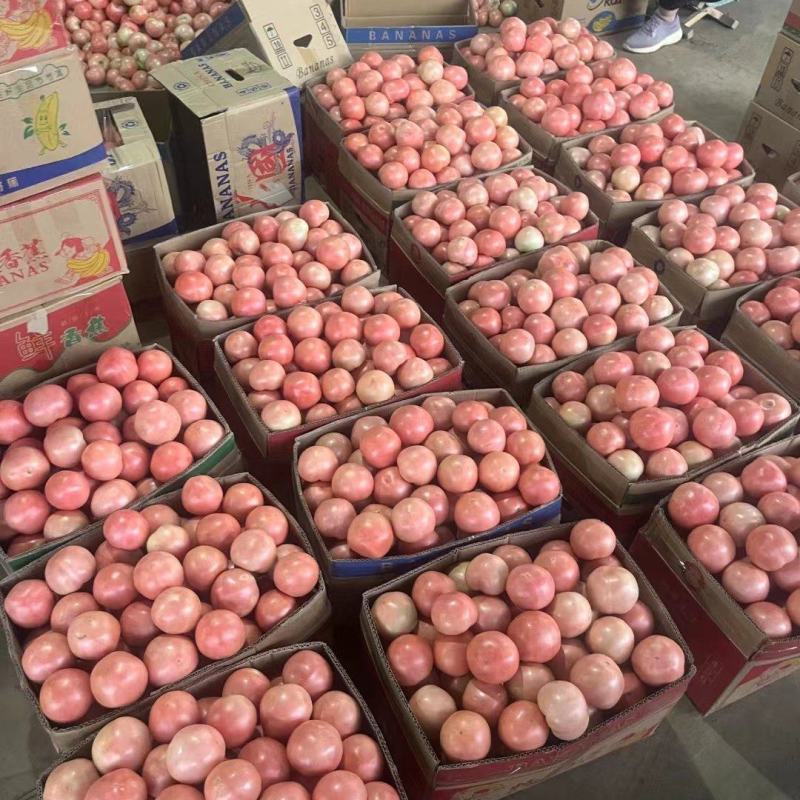 硬粉大量有货要联系