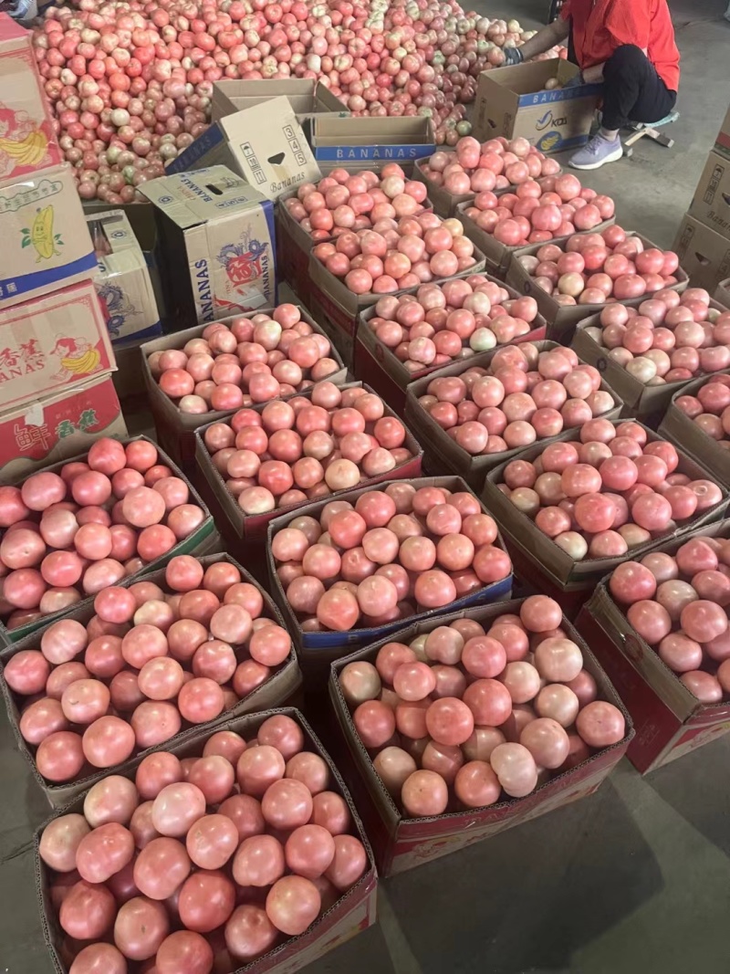 硬粉大量有货要联系