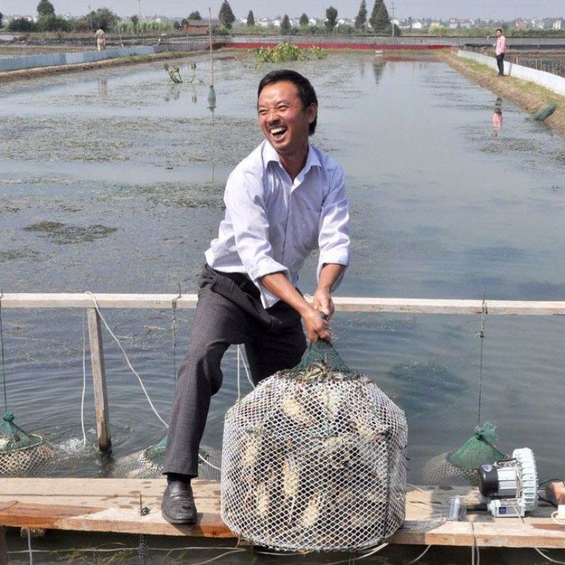 大闸蟹江苏省固大闸蟹直供全国酒店超市电商