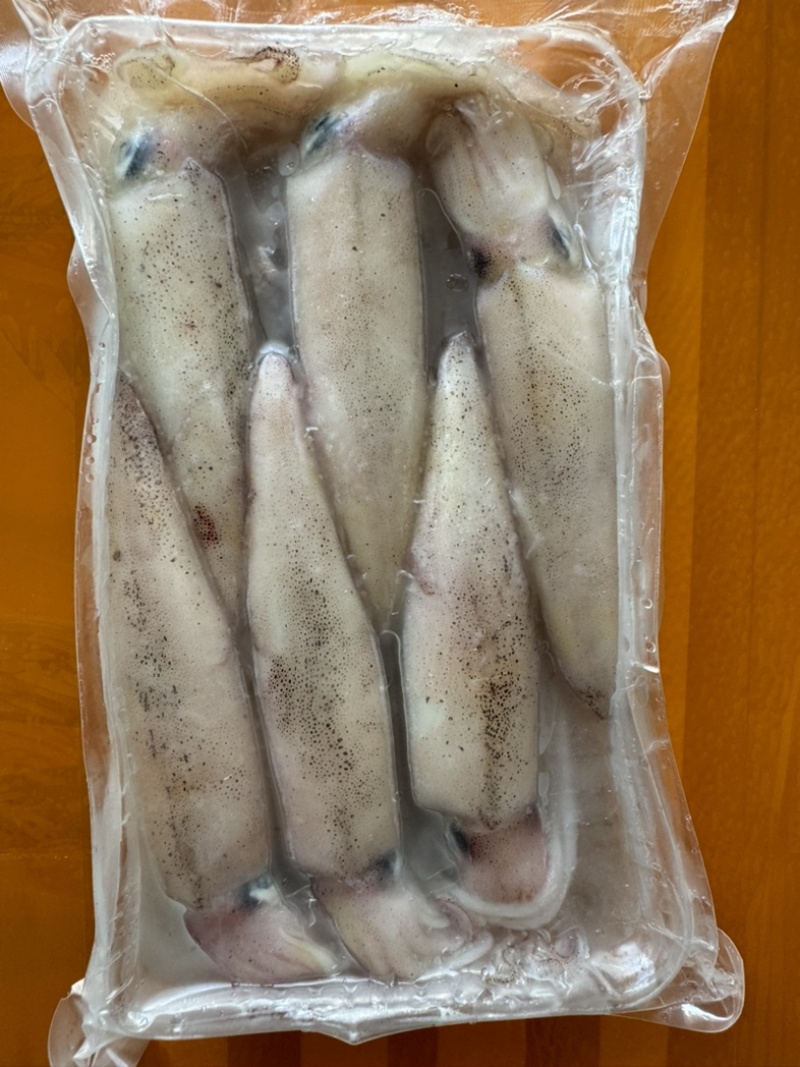 北部湾：水鱿🦑