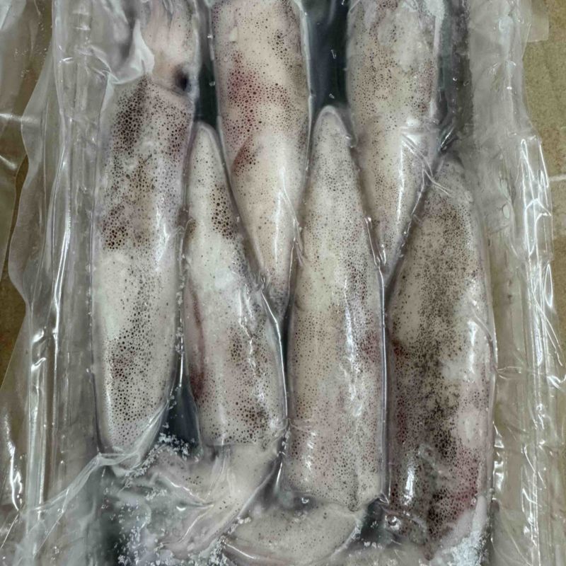 北部湾：水鱿🦑