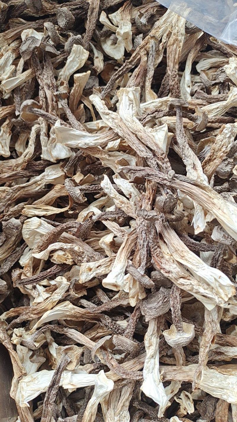 干鹿茸菇条形均匀干度好适合任何人群食用1件10斤常年批发