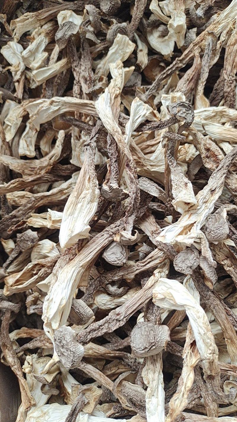 干鹿茸菇条形均匀干度好适合任何人群食用1件10斤常年批发