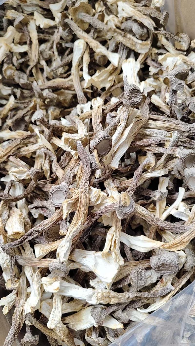 干鹿茸菇条形均匀干度好适合任何人群食用1件10斤常年批发