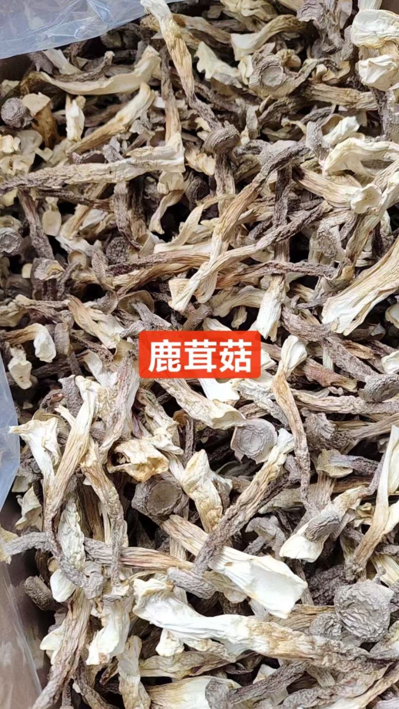干鹿茸菇条形均匀干度好适合任何人群食用1件10斤常年批发