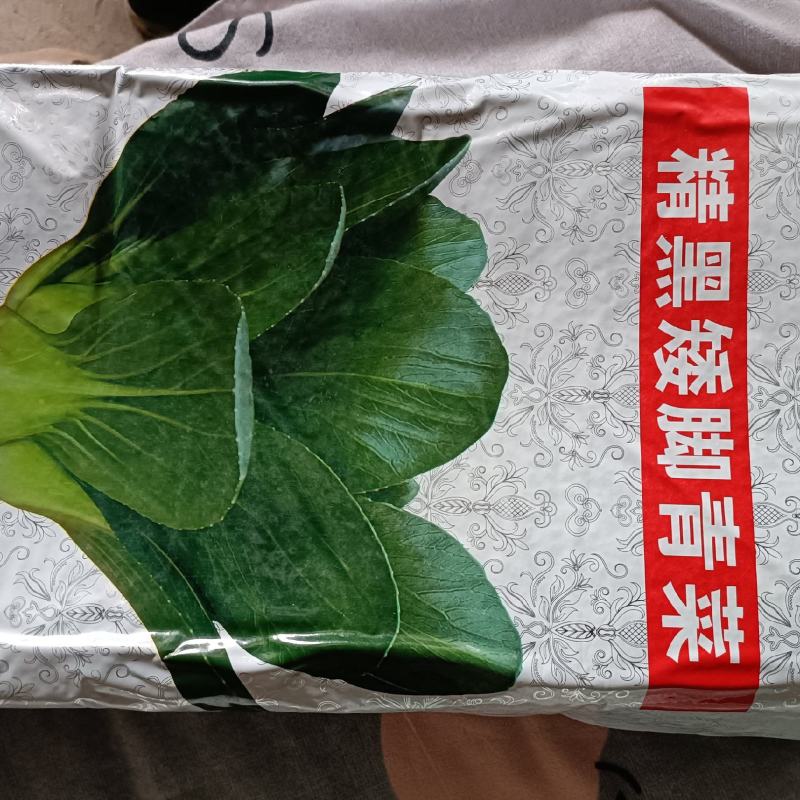 矮脚青菜，