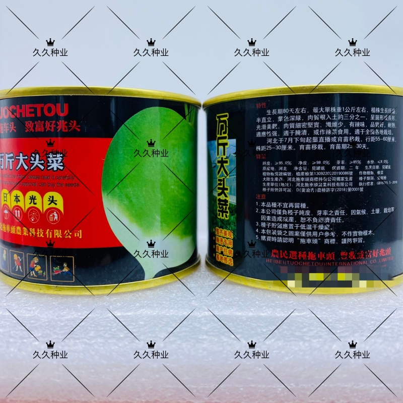 万斤大头菜种子光头芥种籽秋冬季辣疙瘩种孑农家蔬菜籽种