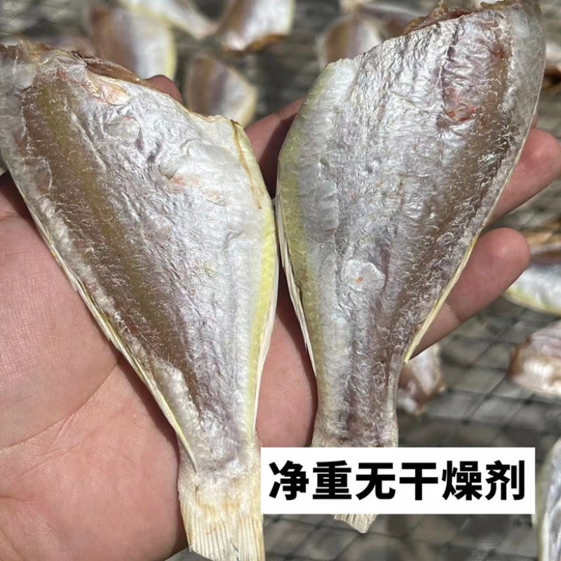 红杉鱼地摊电商批发红衫鱼干金线鱼干鱼干干鱼