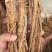 独活药材干地摊电商批发独活独活药材干干药材