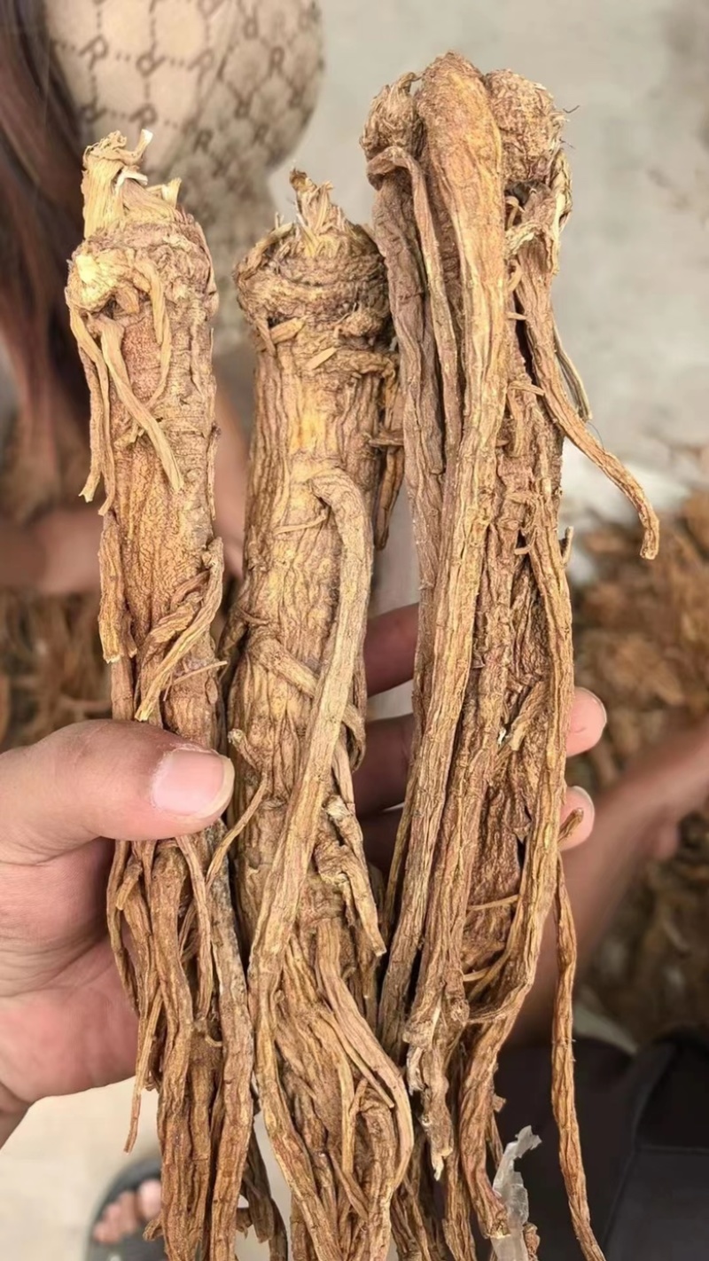独活药材干地摊电商批发独活独活药材干干药材