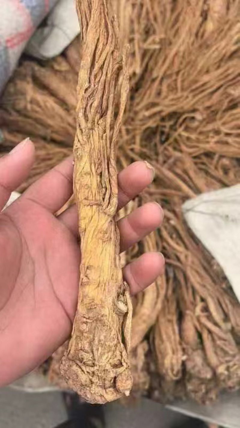独活药材干地摊电商批发独活独活药材干干药材