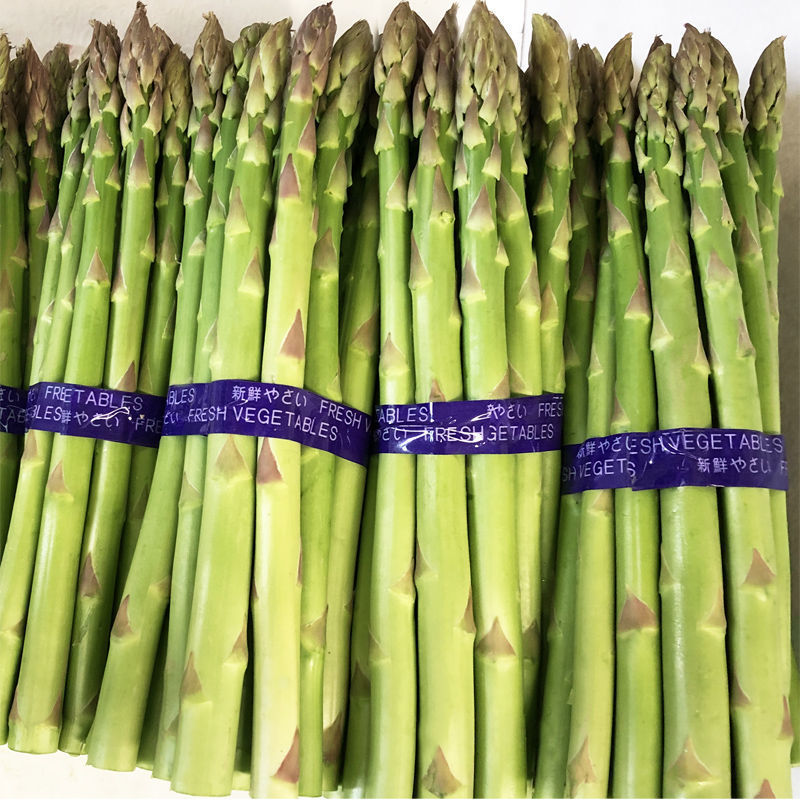 常丰巨生芦笋种子多年生蔬菜籽春秋播种菜园种植四季播