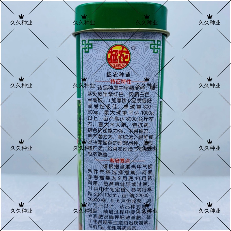 拯农红满地洋葱种中早熟洋葱种子半高桩紫红色洋葱