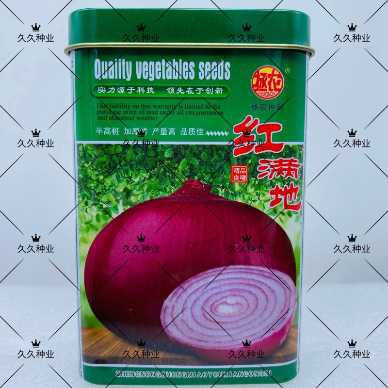 拯农红满地洋葱种中早熟洋葱种子半高桩紫红色洋葱