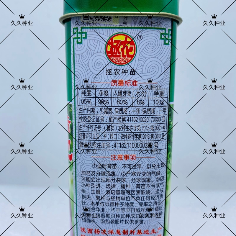 拯农红满地洋葱种中早熟洋葱种子半高桩紫红色洋葱