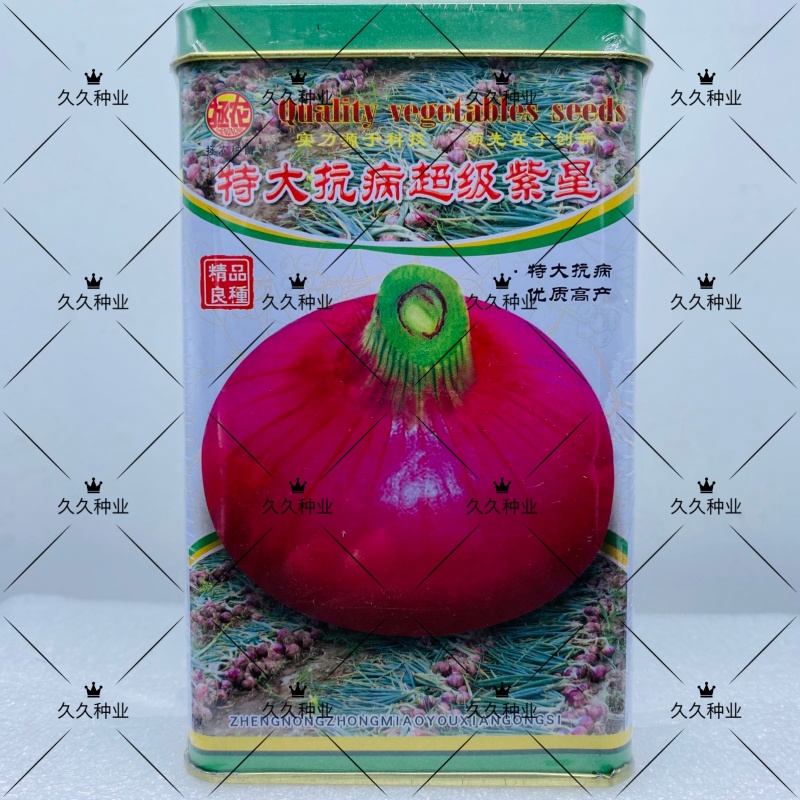 特大抗病超级紫星洋葱种子优质高产抗病耐储运农家春秋精选种