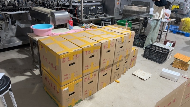 活珠子线上一件代发可多多买菜商超线下各种方式合作共赢