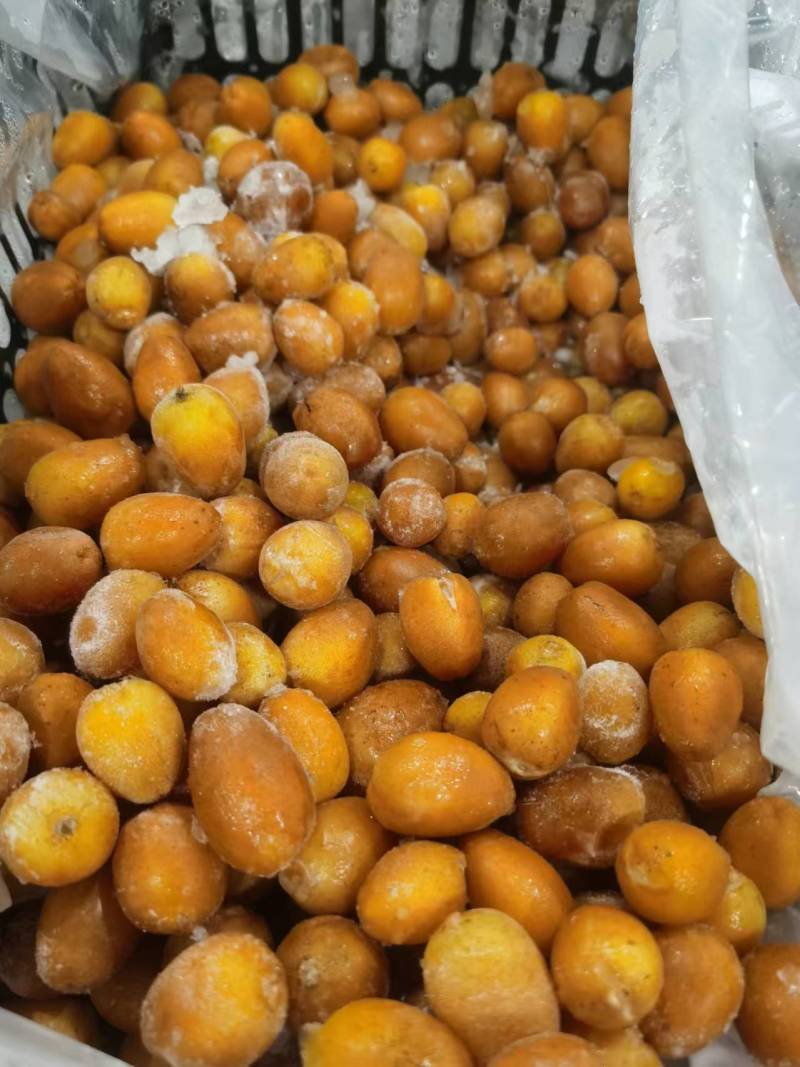 .现货：广东郁南（速冻冷藏无核黄皮果）量大价格从优。