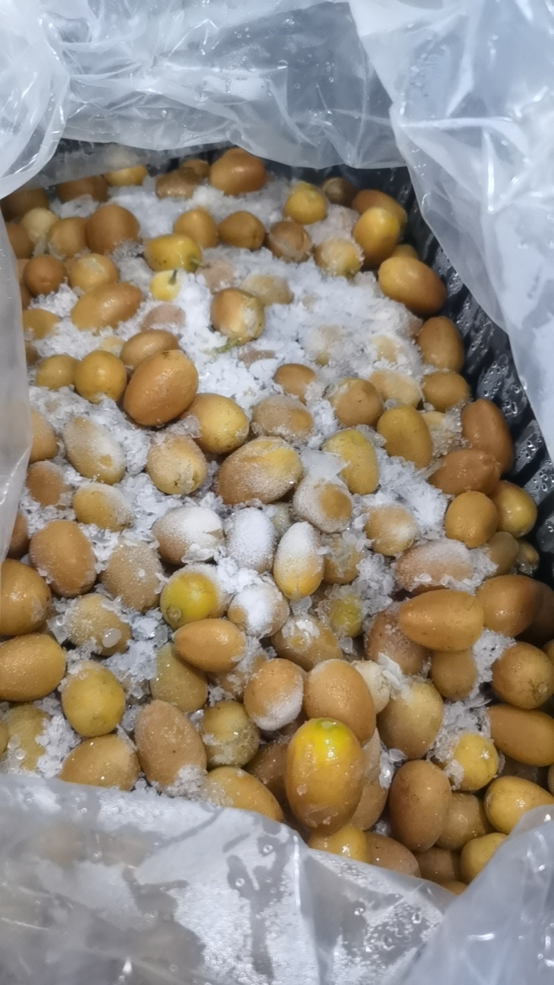 .现货：广东郁南（速冻冷藏无核黄皮果）量大价格从优。
