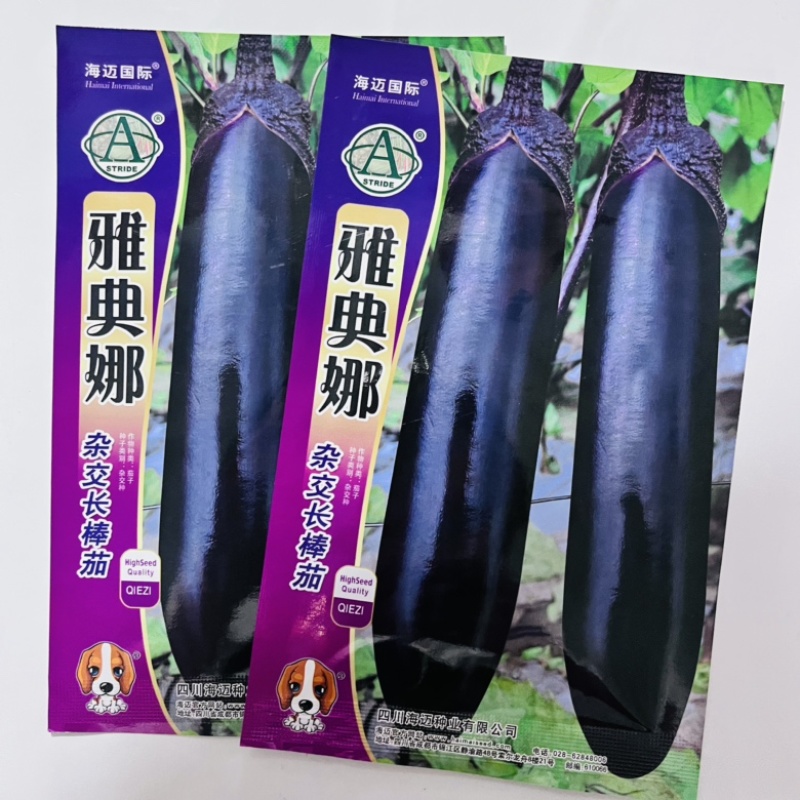 雅典娜茄子种子紫黑茄茄子杂交一代，全国发货