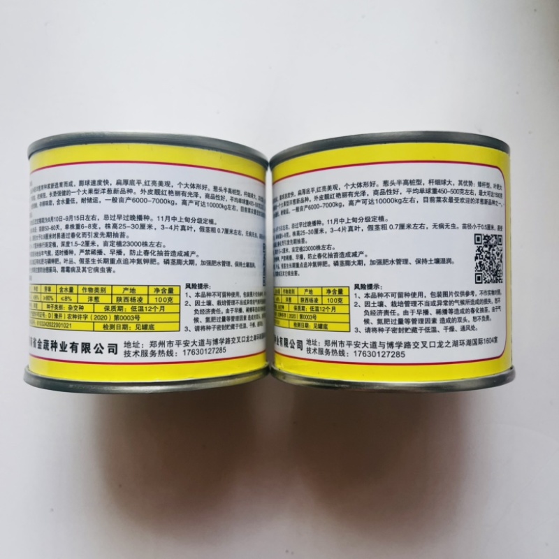 洋葱种子十吨红紫红皮洋葱品种杂交品种种子