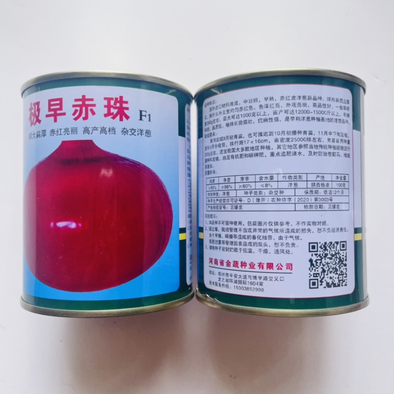洋葱种子十吨红紫红皮洋葱品种杂交品种种子