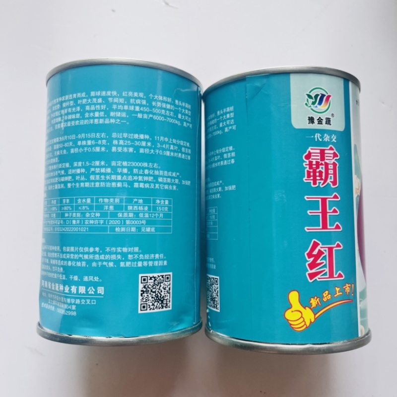 洋葱种子十吨红紫红皮洋葱品种杂交品种种子
