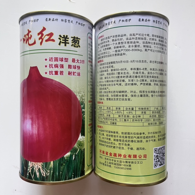 洋葱种子十吨红紫红皮洋葱品种杂交品种种子