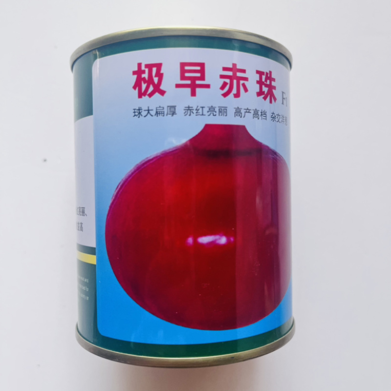 洋葱种子十吨红紫红皮洋葱品种杂交品种种子