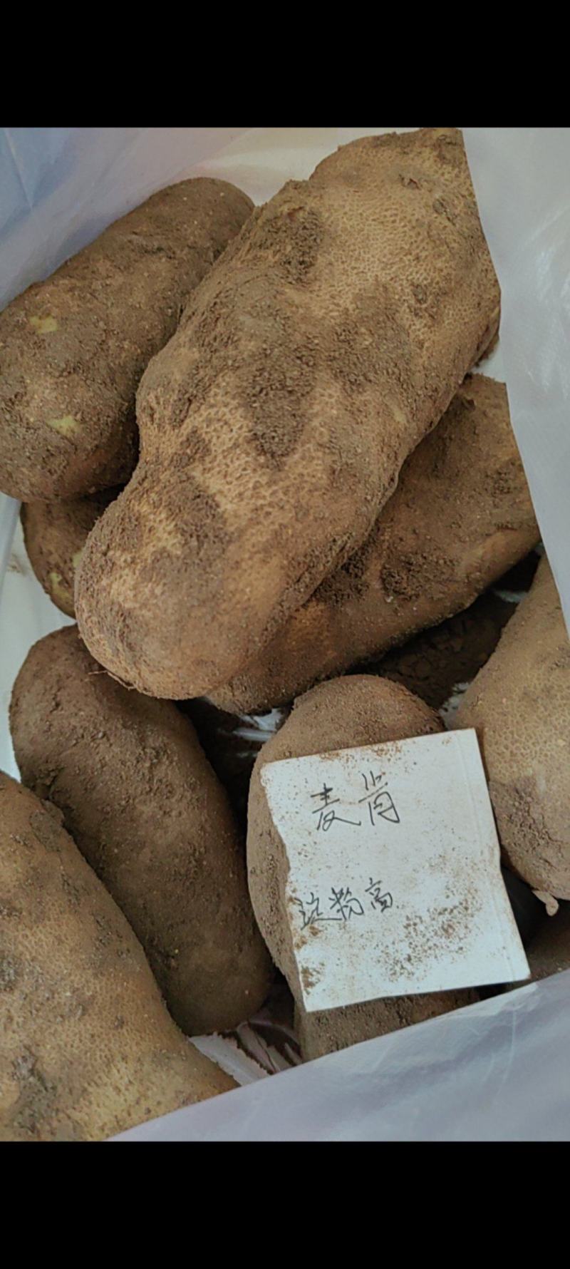 土豆