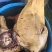 本地黄牛头火燎无碱清洗干净
