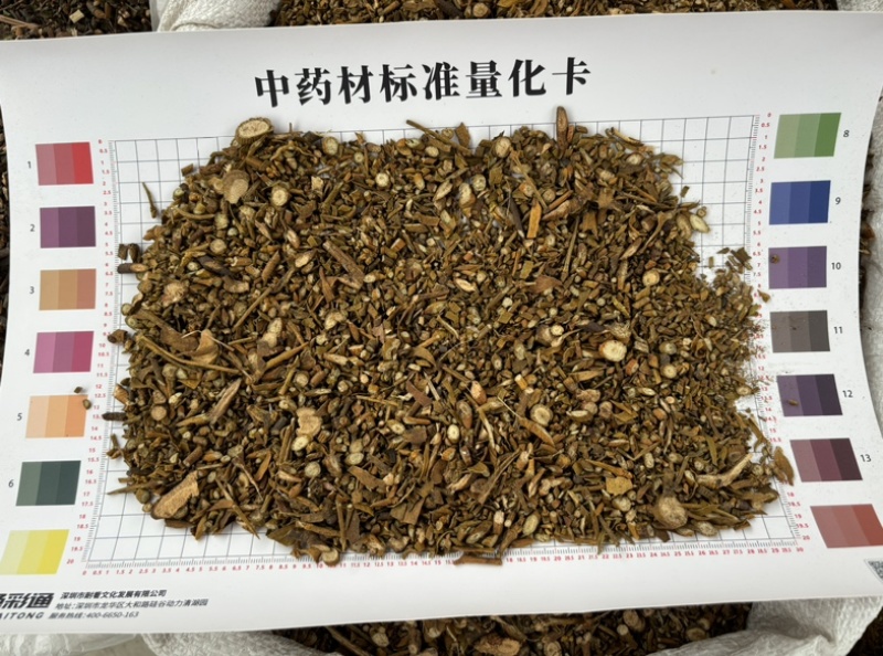 广西桑寄生槲寄生新货颜色漂亮无硫好品质无尘无杂质量大从优