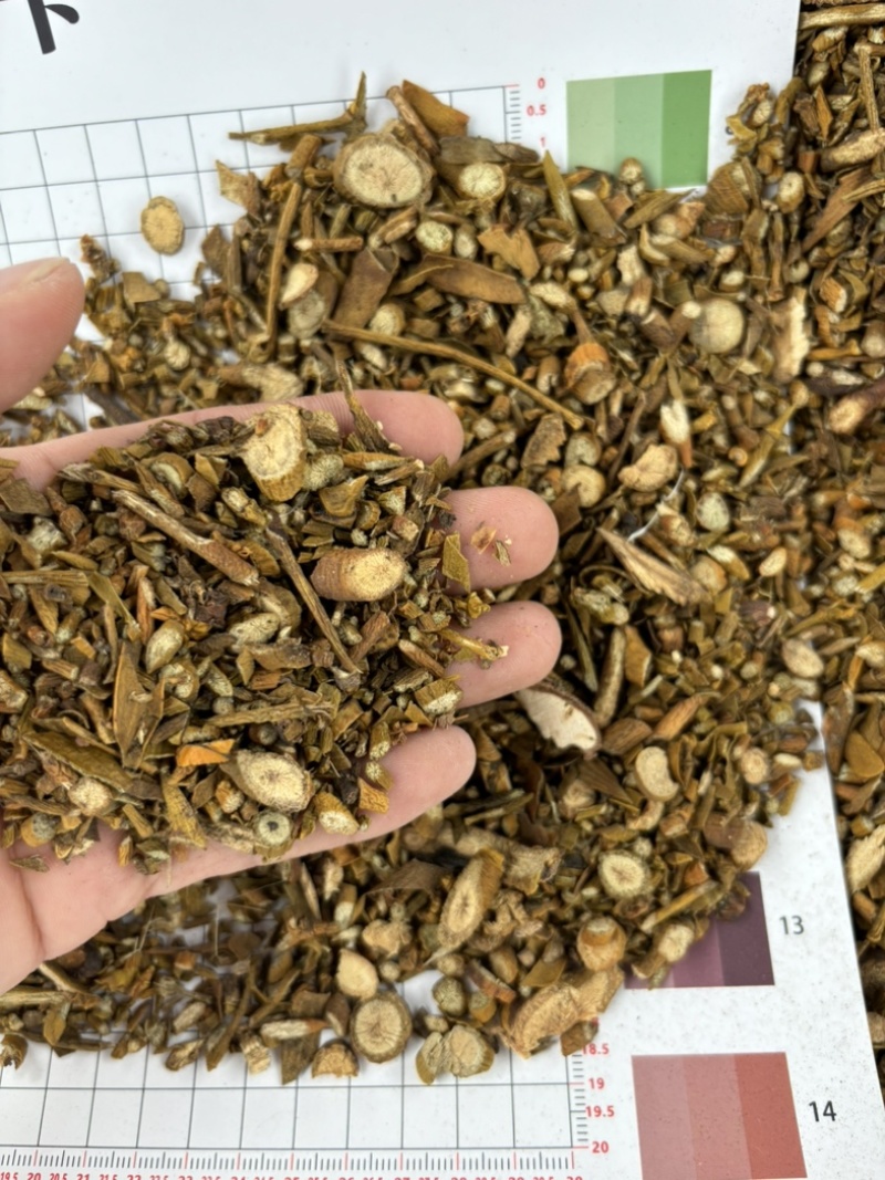 广西桑寄生槲寄生新货颜色漂亮无硫好品质无尘无杂质量大从优