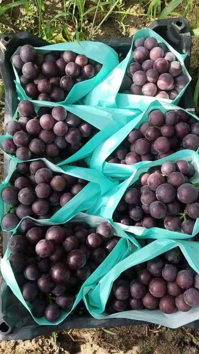 沪太大量供应，可以整车代发