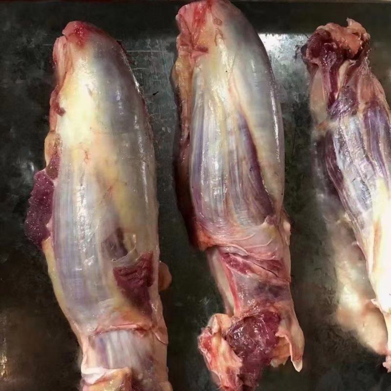 腱子肉