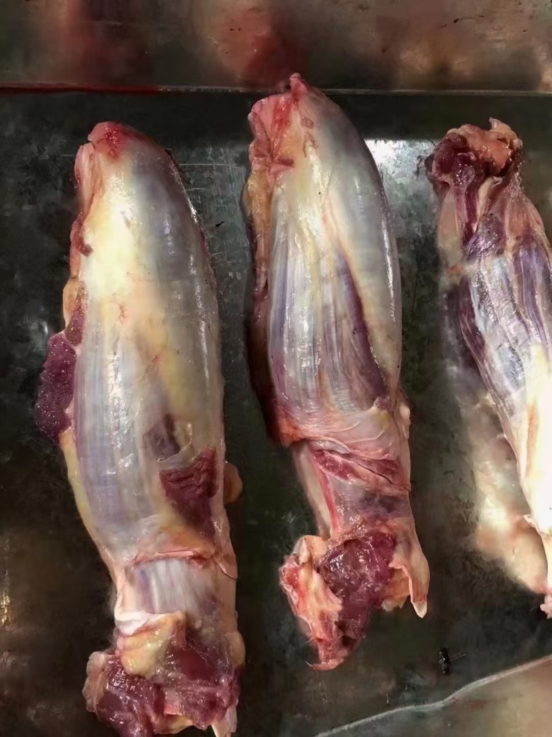 腱子肉