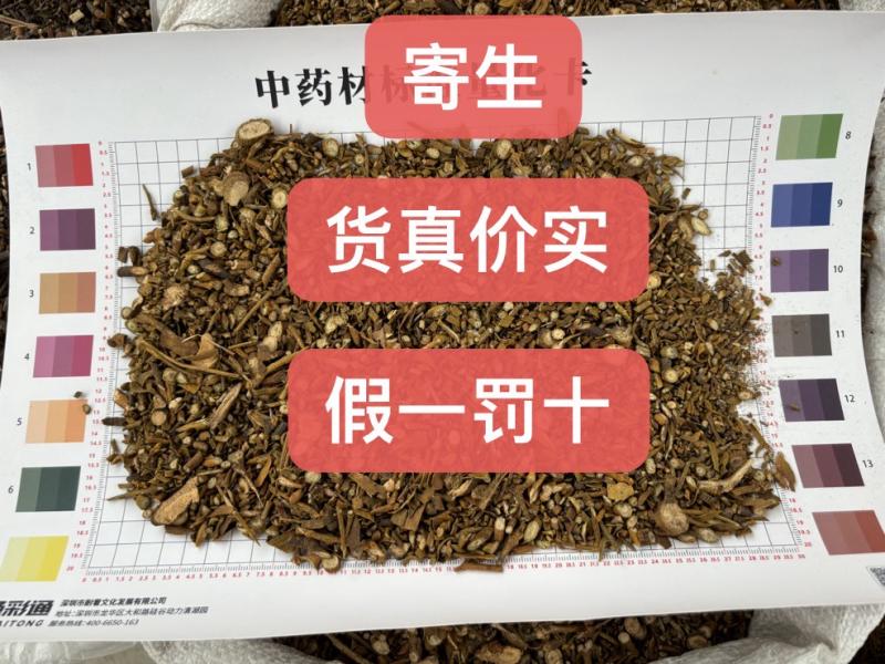 广西桑寄生槲寄生新货颜色漂亮无硫好品质无尘无杂质量大从优