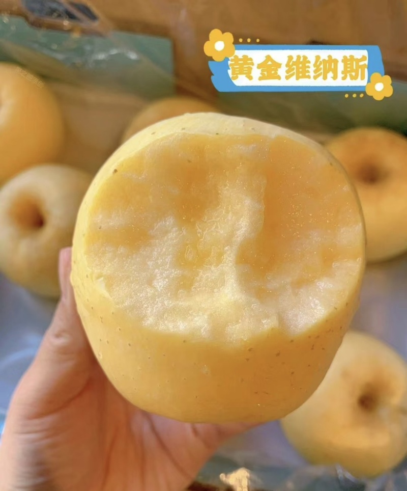【精品苹果】江苏黄金维纳斯苹果，新鲜上市，保质保量