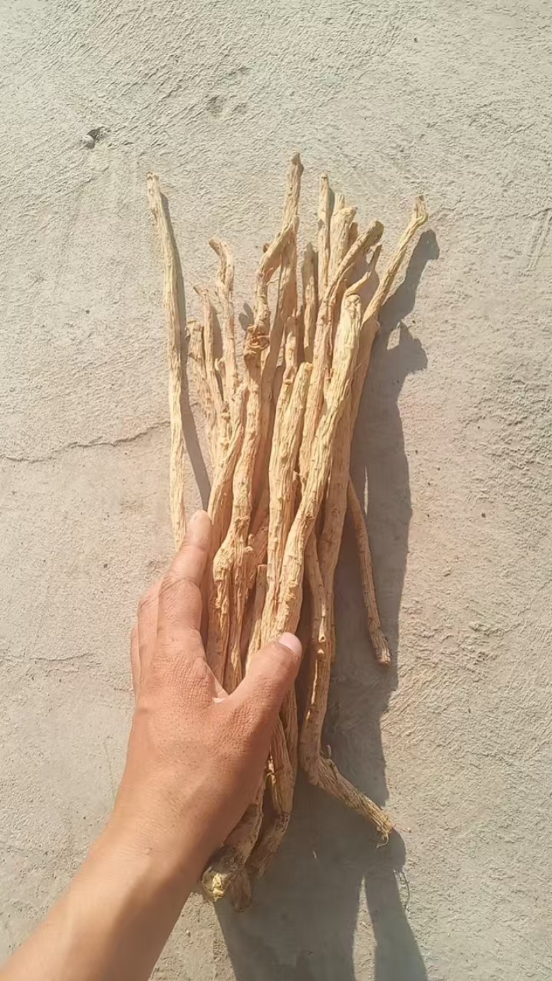 【优选】防风精加工品质优良诚信经营可视频看货